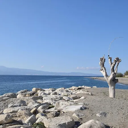 Awesome In Reggio di Calabria